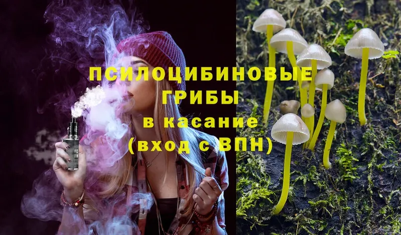 Псилоцибиновые грибы MAGIC MUSHROOMS  купить наркотики цена  Алексеевка 